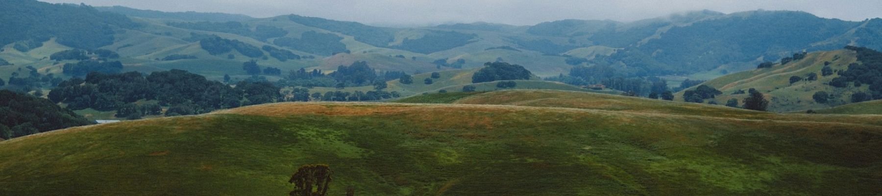Rolling green hills and distant mountains stretch under a blue sky with scattered clouds, viewed from a grassy hillside.