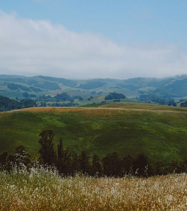Rolling green hills and distant mountains stretch under a blue sky with scattered clouds, viewed from a grassy hillside.