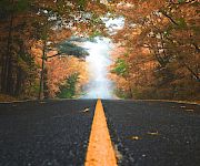 An empty road stretches through an autumn forest, lined with orange and green leaves and soft morning mist ahead.