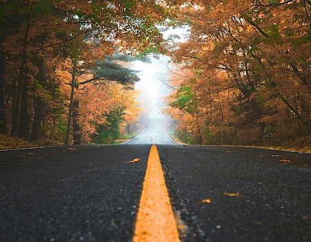 An empty road stretches through an autumn forest, lined with orange and green leaves and soft morning mist ahead.