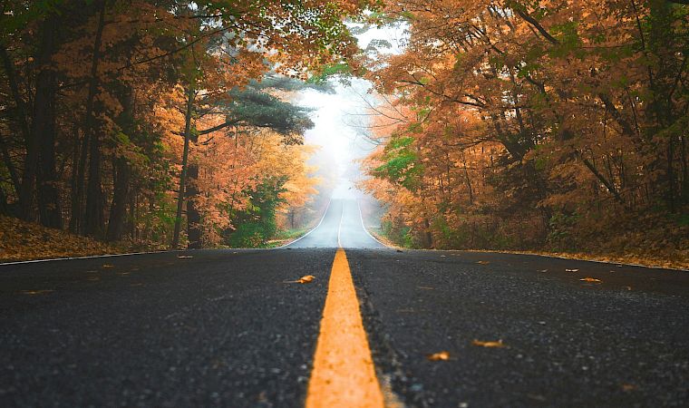 An empty road stretches through an autumn forest, lined with orange and green leaves and soft morning mist ahead.